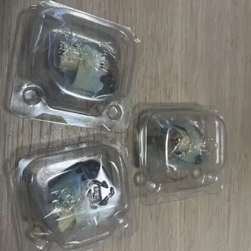 실바니안 패밀리 제일복권 G상 시크릿