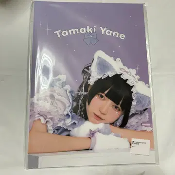 큥루링 해 봐 환야네 ZINE