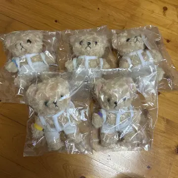 아라시 시스루 의상풍 곰 봉제 인형 5체 세트