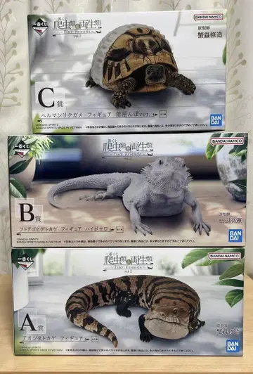 제일복권 파충류 양서류 A상 아오지타도마뱀 B상 후토아고히게도마뱀 C상