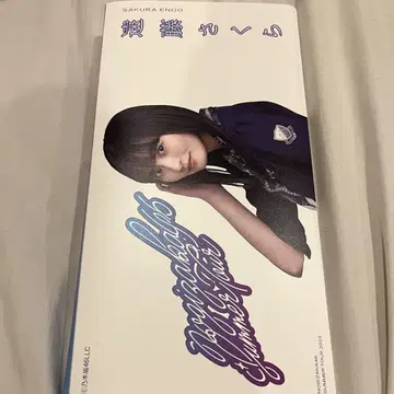 엔도 사쿠라 포토 앨범