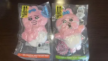 [ 총 2종 세트 ] 빤쮸토끼 압축 출하중!? 봉제 인형 새상품