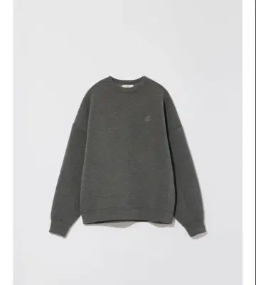 eaphi LOGO BIG SWEAT
