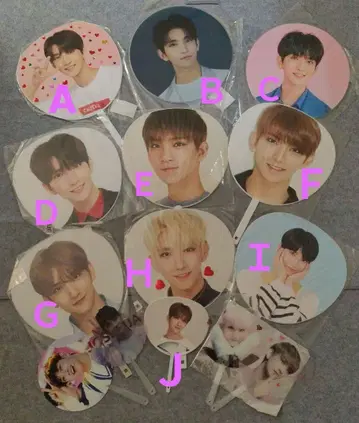 SEVENTEEN 조슈아 부채 모음 10개 덤 포함