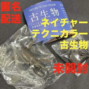 네이처 테크니컬러 고생물 후타바스즈키류 미개봉 적갈색 화석