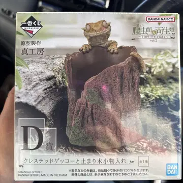 제일복권 파충류 크레스티드 게코 D상