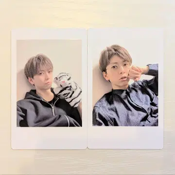 MeseMoa. 노자키 도시락 하피카