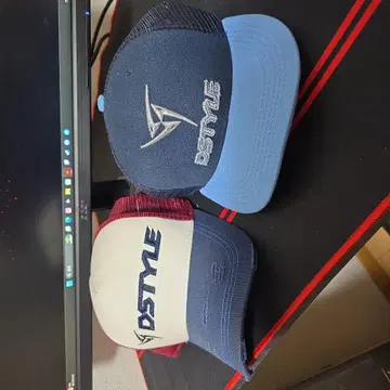 DSTYLE 메쉬 캡 2개 세트