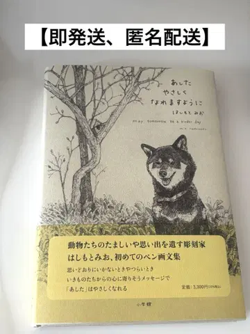 하시모토 미오, 내일은 부드러워질 수 있기를, 책, 조각가