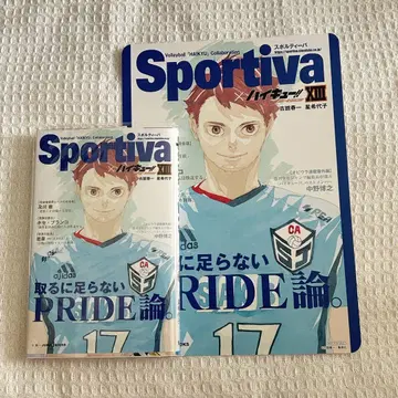 하이큐 sportiva 소설판13