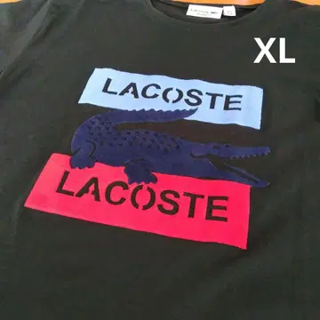 라코스테 XL 다크 그린 티셔츠 로고 프린트