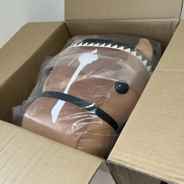 데카못치 두듀스 아이돌 호스