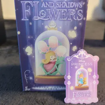 52TOYS FLOWERS AND SHADOWS 신데렐라
