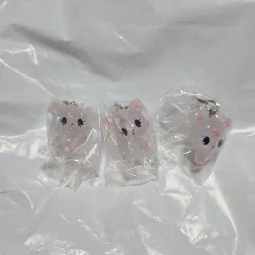 쥬얼펫 메지루시 액세서리 라브라