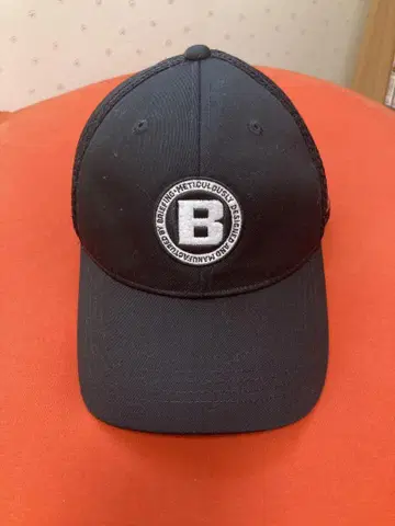 브리핑 캡