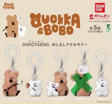 DINOTAENG 메지루시 액세서리 4개 세트