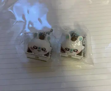 쿠라스시 비쿠라폰 치이카와 (먼작귀) 모몽가