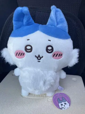 치이카와 (먼작귀) 패러렐 월드!? BIG 봉제 인형 하치와레