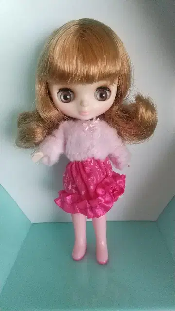 미니 브라이스 트라운파파
