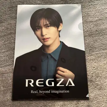 REGZA 클리어 파일 메구로 렌