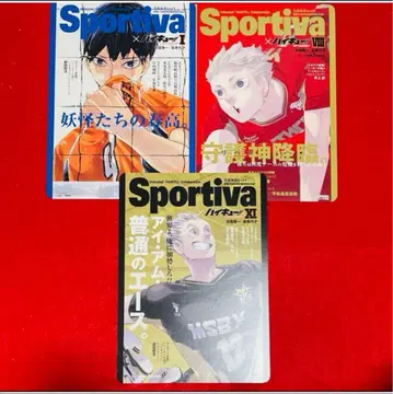 하이큐!! 소설판 Sportiva 애니메이트 비주얼 보드 3매