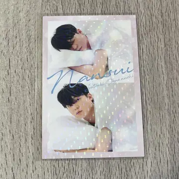 요시모토 콜레카 연수 오카와우치 사토시 오하요 카드