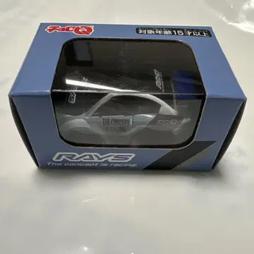RAYS 미니카 THE CONCEPT IS RACING