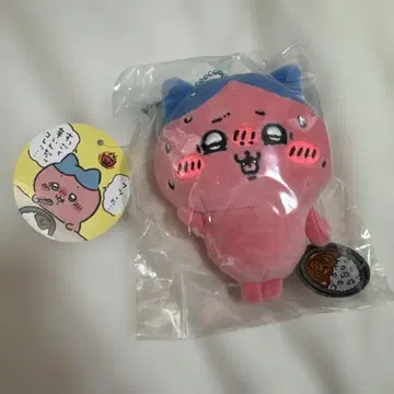 치이카와 (먼작귀) 정말 매워요! 마스코트 하치와레 카레