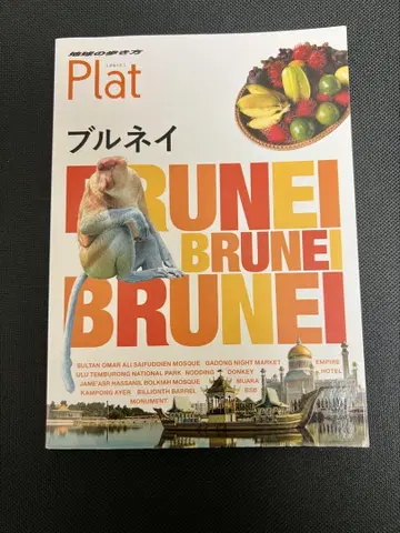지구의 걸음걸이 Plat 22 브루나이