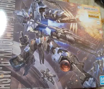 MG 1/100 건담 비다르