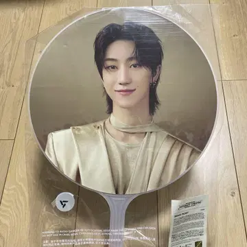SEVENTEEN THE8 부채