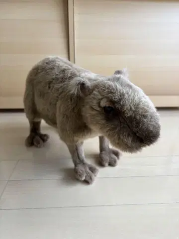 HANSA 카피바라 봉제 인형