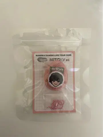 미치에다 슌스케 보이스 키링