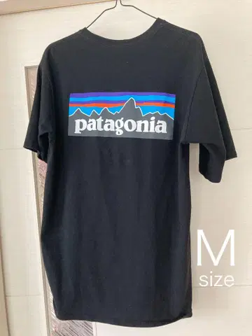 M [Patagonia P-6 로고 셔츠] 포켓 파타고니아 검정 블랙