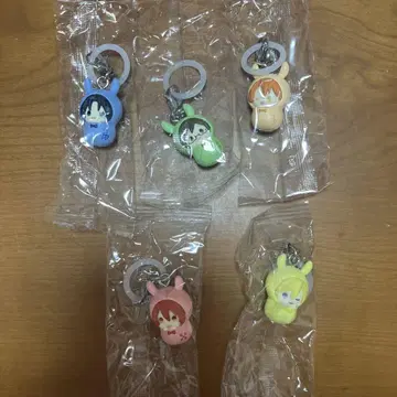 아이나나 메지루시 액세서리