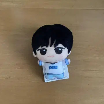 TWS 영재 YOUNGJAE SD 인형