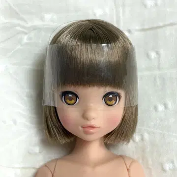 CCSgirl 17SS 루루코 펫 웍스 퓨어니모xs