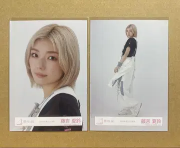 후지요시 카린 브로마이드 여름 페스티벌