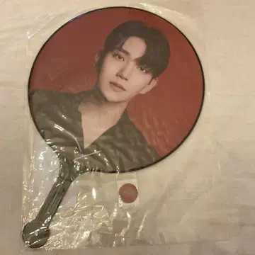 SEVENTEEN 조슈아 POWER OF LOVE 부채