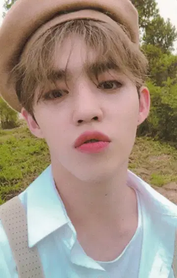 SEVENTEEN Hope S.COUPS An Ode 그린
