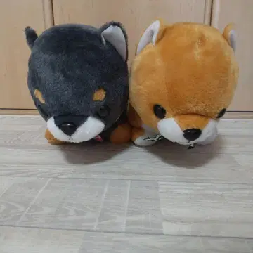 시바견 봉제 인형 세트 (블랙 오렌지) 콩시바 시바