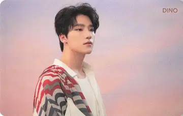 SEVENTEEN HMV DINO 흩날리는 꽃잎 Pink