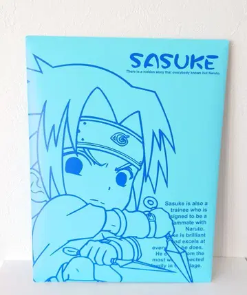 [레어] NARUTO 사스케 파일