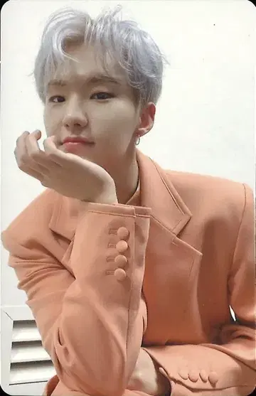SEVENTEEN 초회 한정판 B HOSHI  꽃잎