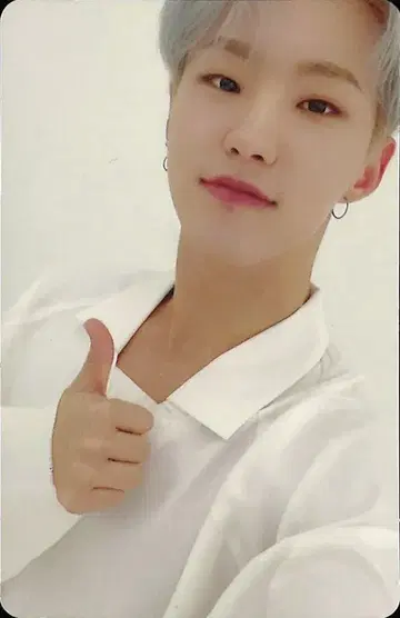 SEVENTEEN CARAT반 HOSHI 흩날리는 꽃잎