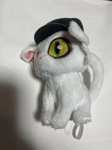 스즈메노 토지마리 다이진 고양이 역장
