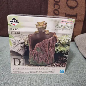 파충류 제일복권 D상 크레스티드 게코