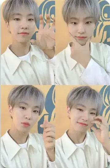 세븐틴 호시 [Heng:garae] NET ver.