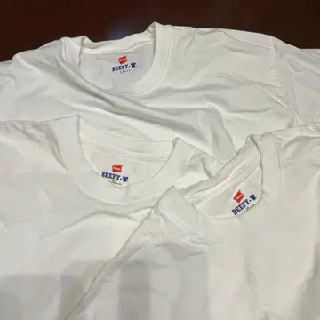 BEAUTY&YOUTH Hanes BEEFY-T 화이트 L 3개 세트