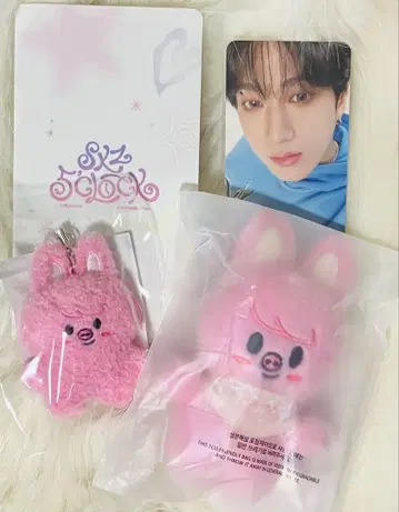 SKZOO 스키즈 펜미 돼끼 10cm 마이크로 티켓 찬빈